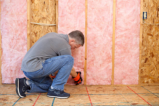 Best Commercial Insulation in Rapid City, MI